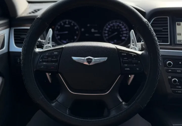 Hyundai Genesis 2015, photo 12 de 21