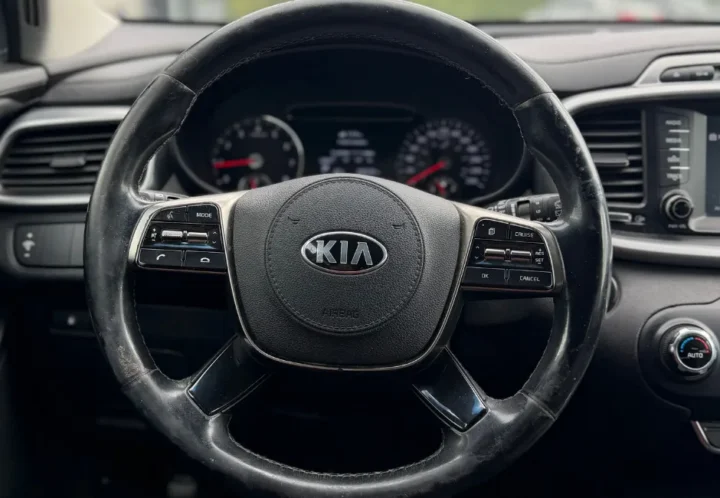 Kia Sorento 2019, photo 24 de 25